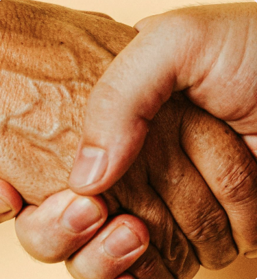 QUNO Peace and Disarmament