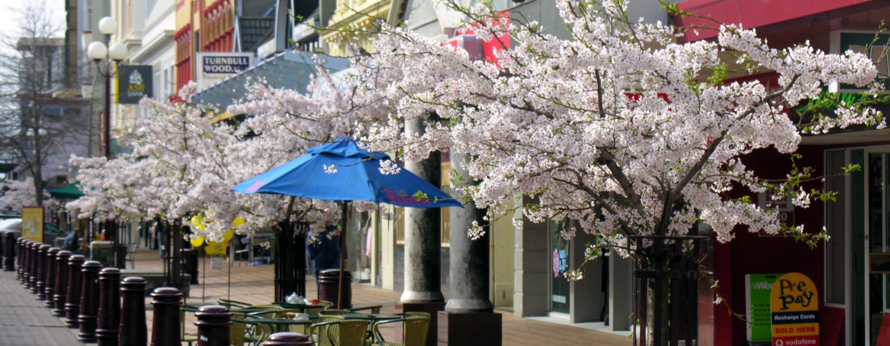 Invercargill