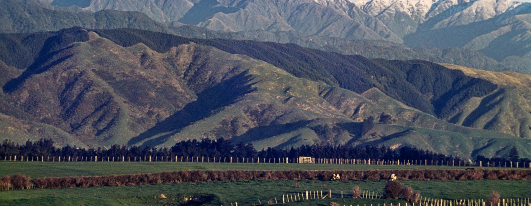 Levin Landscape