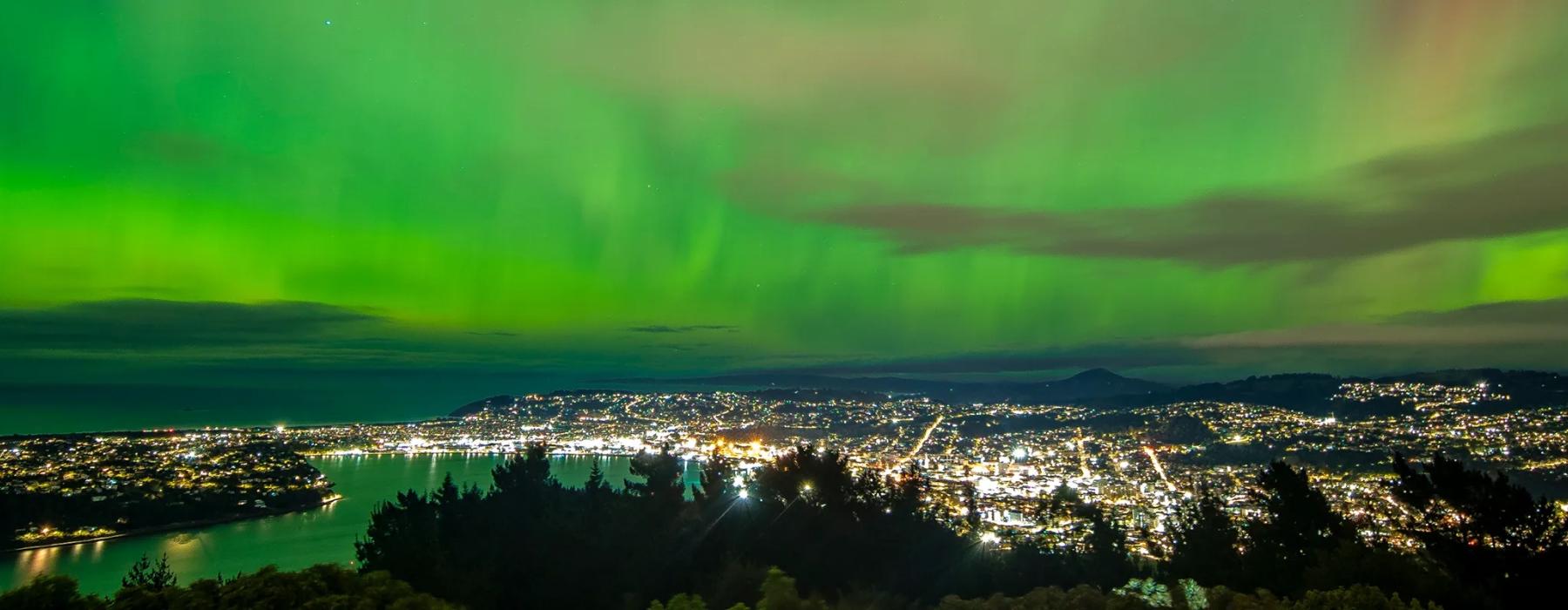 Dunedin panorama