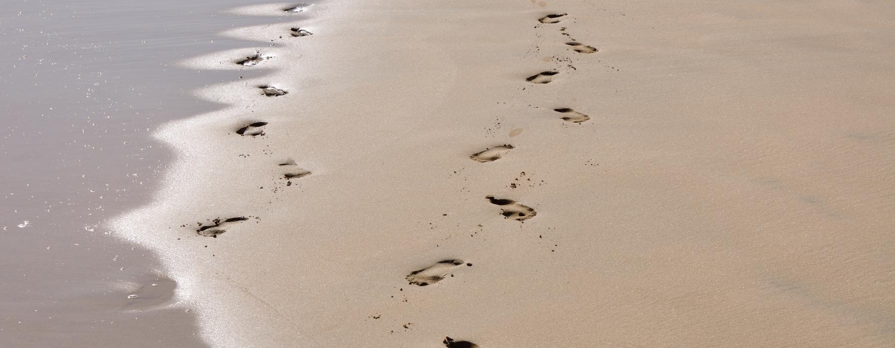Footprint in Sand