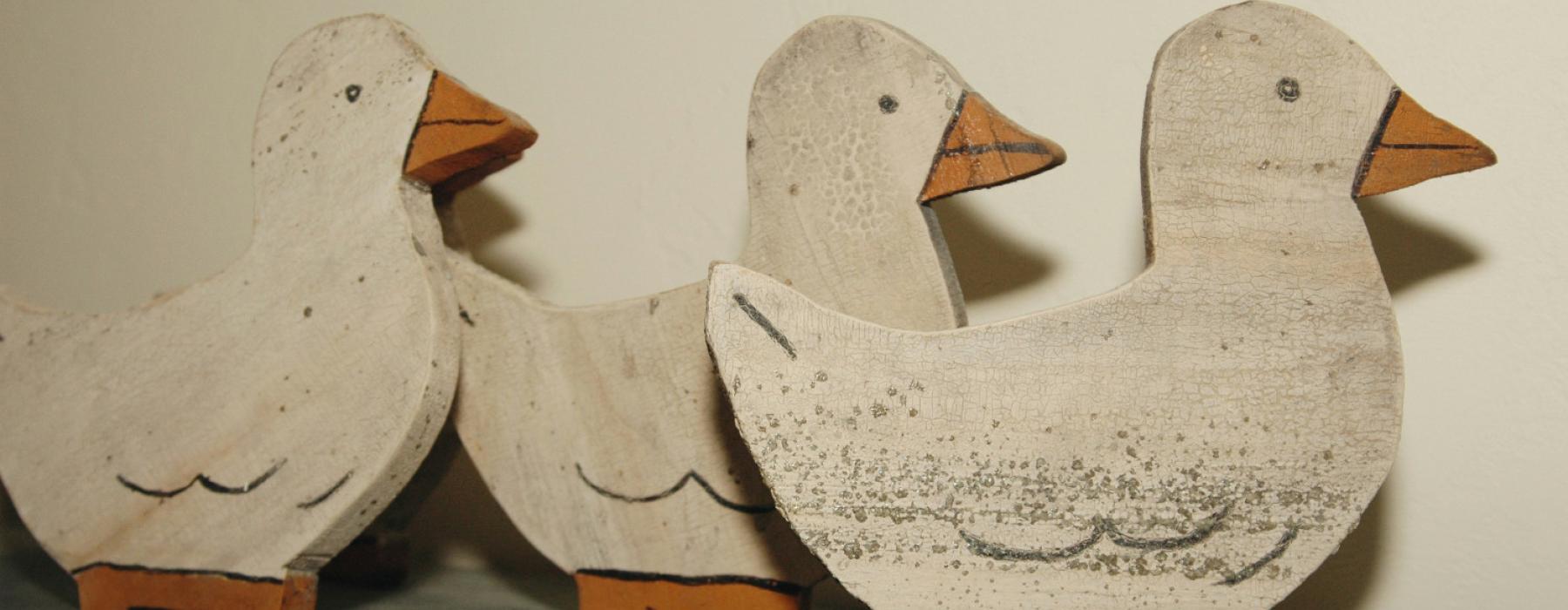 ducks in a row