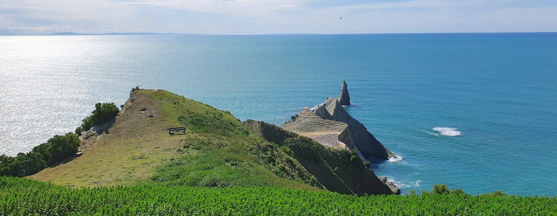 Hawkes Bay Cape Kidnappers