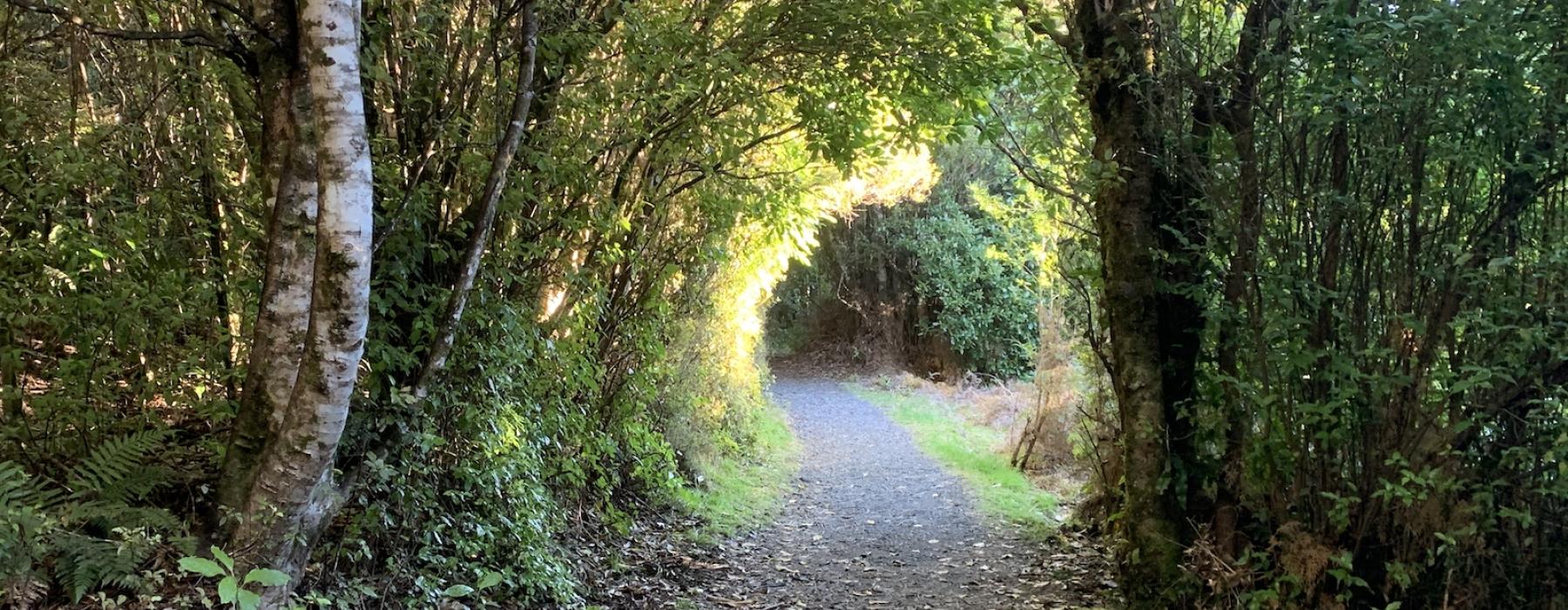Rotopounamu Track