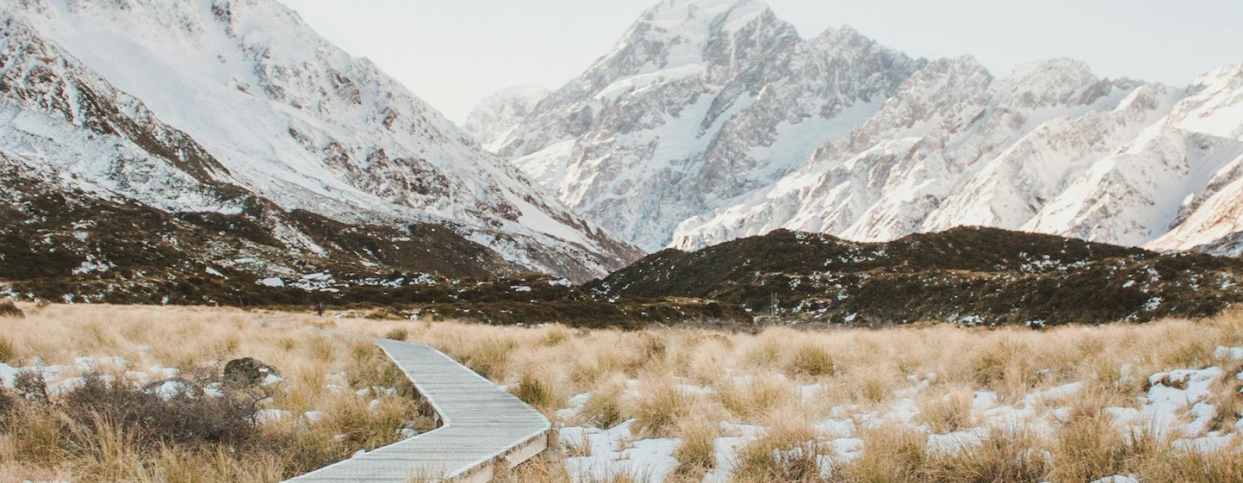 Mt Aoraki boardwalk