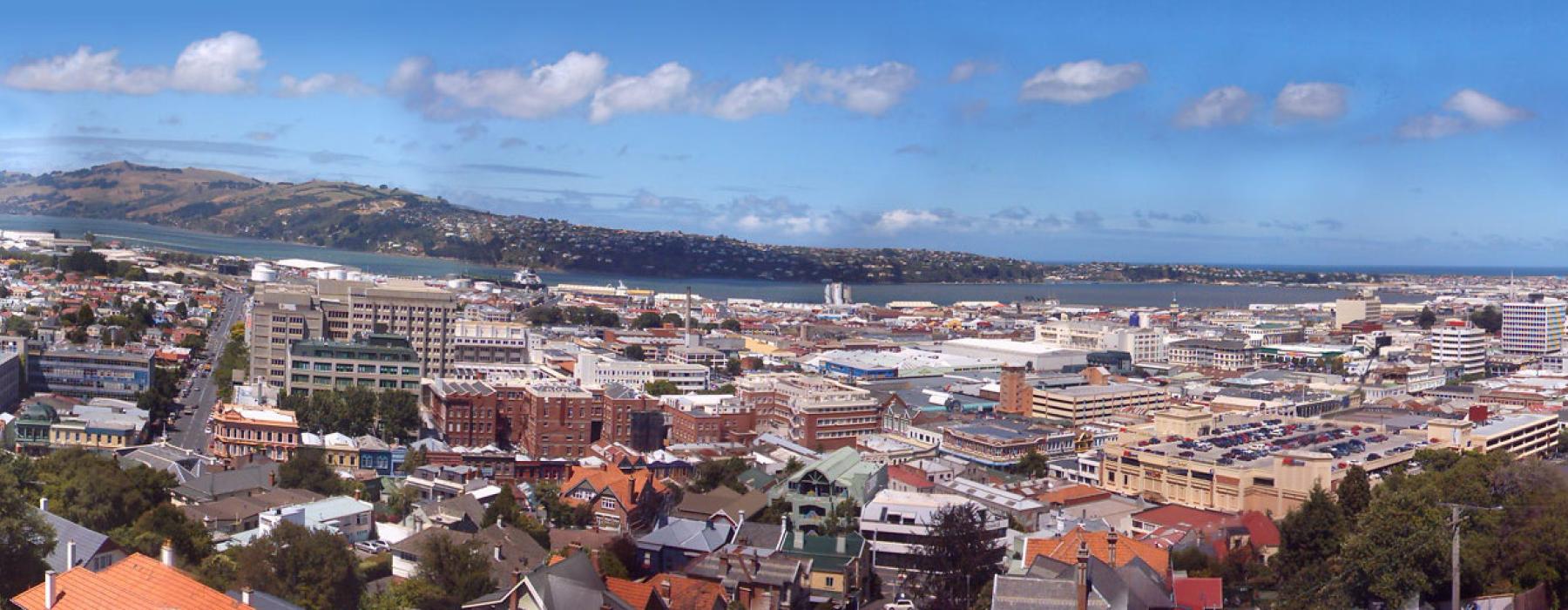 Dunedin Panorama Wikipedia Commons