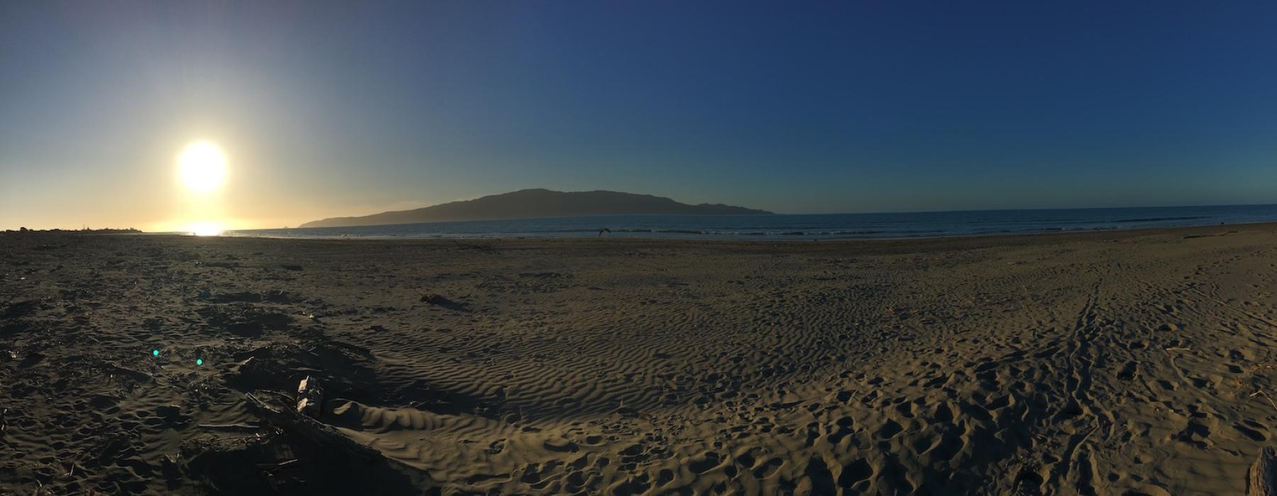 Kapiti Island Robin Watts Dec 2024