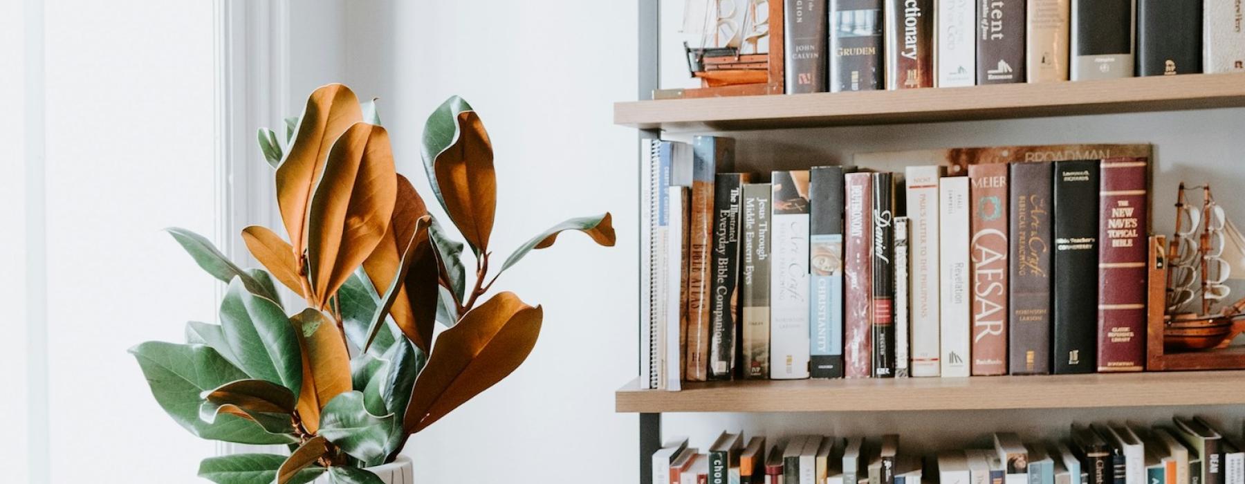 Bookshelf