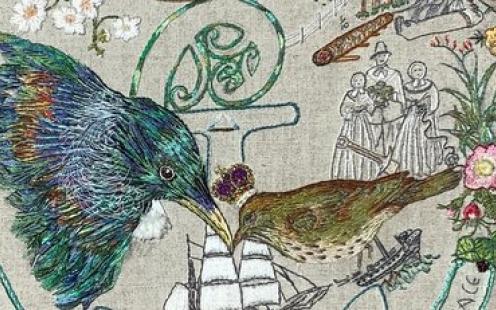 indigenous tui and imported sparrow