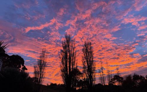 Sunset in the paddock