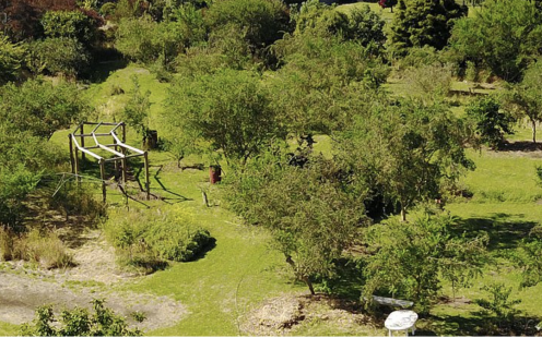 Ariel view of the Food Forest
