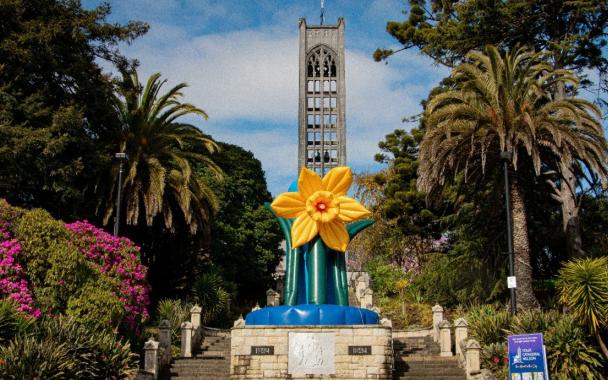 Come to beautiful Nelson for Summer Gathering!