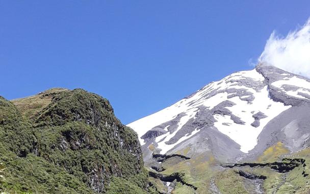 Taranaki