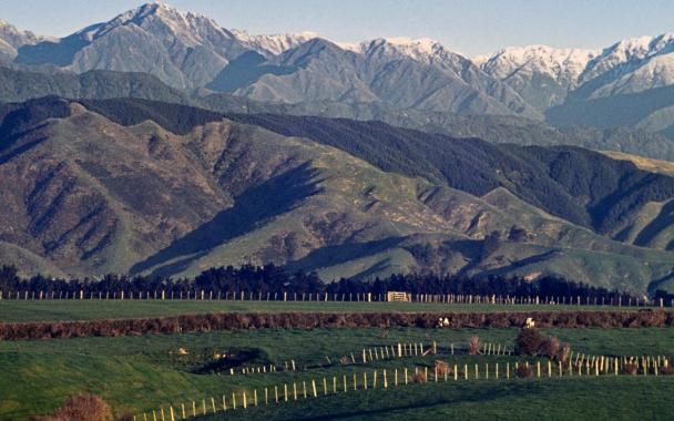 Levin Landscape