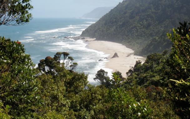 QFP Coastal Image