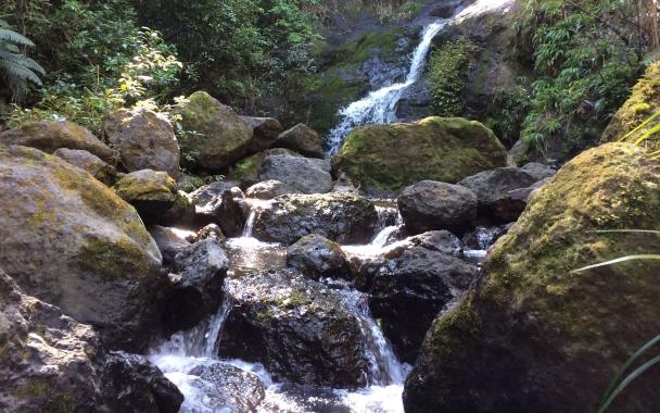 Waterfall