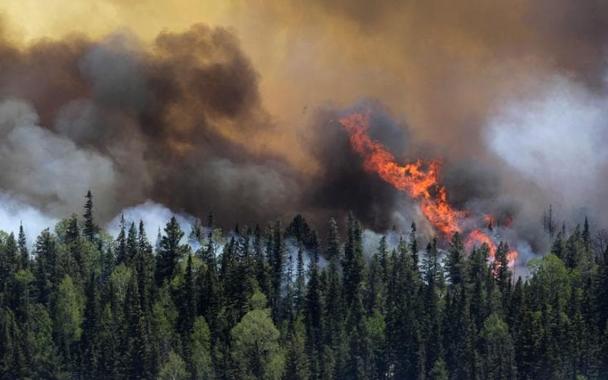 forest fire