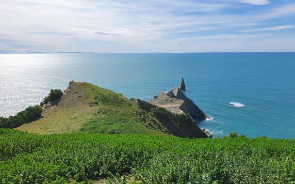 Hawkes Bay Cape Kidnappers