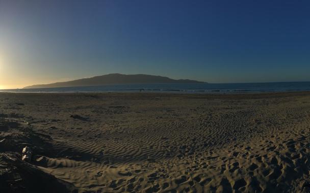 Kapiti Island Robin Watts Dec 2024