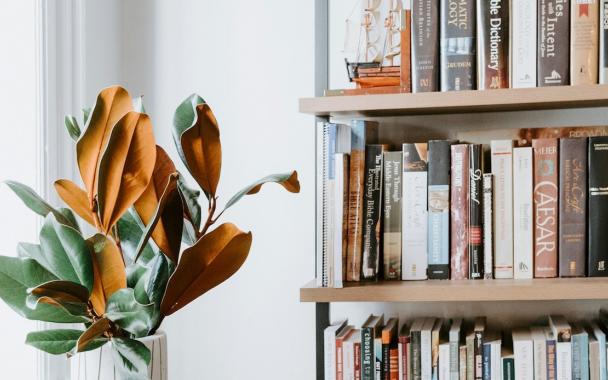 Bookshelf